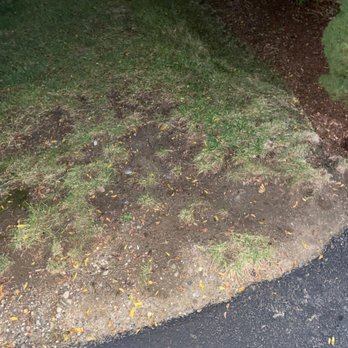 Evergreen Landscaping - This is the lawn care they provide nothing green about it. - Landscaping Near Me - Easton, Massachusetts