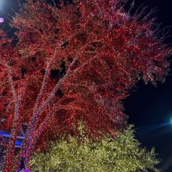 AT&T Performing Arts Center