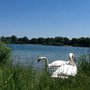 Photo of Ilsesee