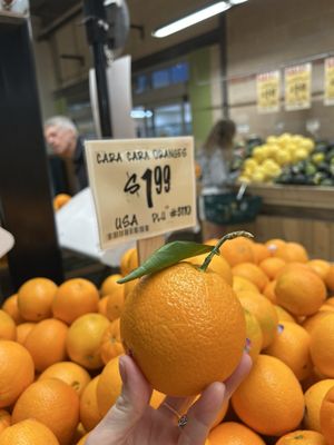 Central Market by null
