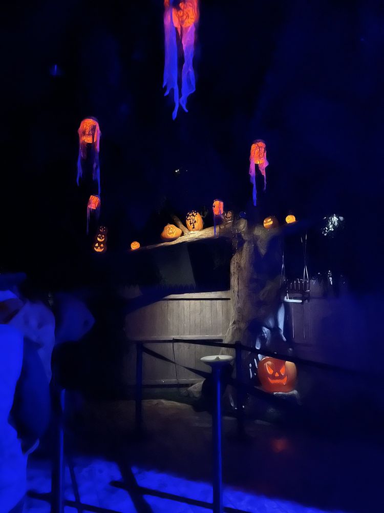 SCAREHOUSE Updated September 2024 50 Photos & 75 Reviews 2012