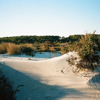 Assateague State Park - Parks Near Me - Berlin, Maryland