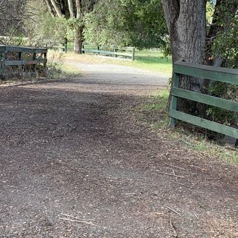 Filoli - Just around the bend... - Botanical Gardens Near Me - Woodside, California