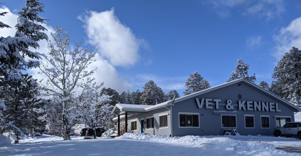 Beaver Brook Pet Center - pet boarding facility in Evergreen, CO
