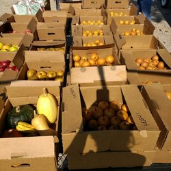 Weymouth Farms & Orchard, Winery - Tons of varieties!