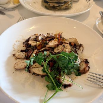 Avra Beverly Hills - Grilled Spanish Octopus - Greek Near Me - Beverly Hills, California Avra Beverly Hills - Grilled Spanish Octopus - Greek Near Me - Beverly Hills, California