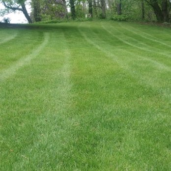 Currington Lawn Care - Lawn Services Near Me Currington Lawn Care - Lawn Services Near Me