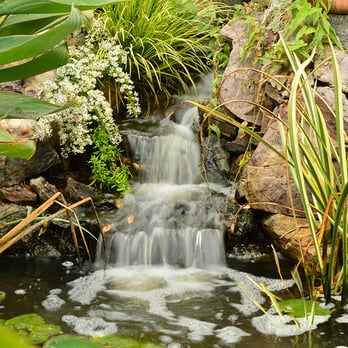 Aquatic Creations - Landscape Architects or Designers Near Me Aquatic Creations - Landscape Architects or Designers Near Me