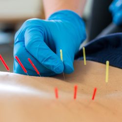 Village Physical Therapy
