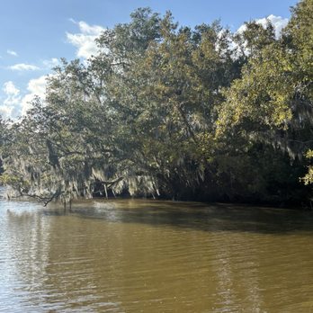 Louisiana Tour - Swamp - Tours Near Me - Marrero, Louisiana Louisiana Tour - Swamp - Tours Near Me - Marrero, Louisiana
