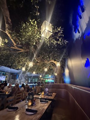 Blue Bayou Restaurant & Oyster Bar by null