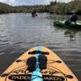 Photo of WildHorse Paddleboards