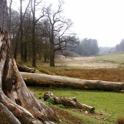 Knole Park Golf Club - Knole park , Sevenoaks . Kent