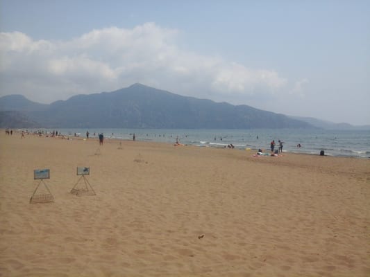 Iztuzu Beach Cafe by null