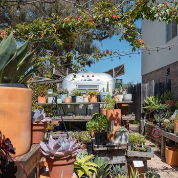 Flowerland - Nurseries & Gardening Near Me - Albany, California