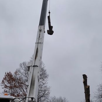 JL Tree Service - Tree Services Near Me - Fairfax, Virginia