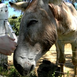 Zoológico de Luján