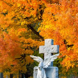 Crown Hill Foundation - Crown Hill's fall foliage rivals Brown County! The Eastman family angel is surrounded by incredible color.