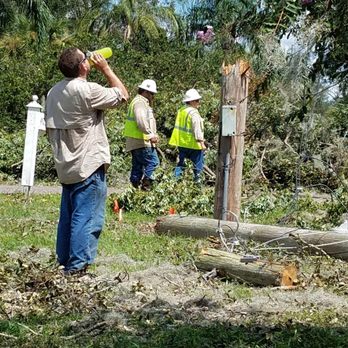 Family Tree and Yard - Tree Services Near Me - Lake Alfred, Florida Family Tree and Yard - Tree Services Near Me - Lake Alfred, Florida