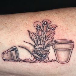 Studio 7 Tattoo and Art Gallery - Repotting
