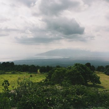 Shim Coffee Farm - Food Tours Near Me - Kula, Hawaii Shim Coffee Farm - Food Tours Near Me - Kula, Hawaii