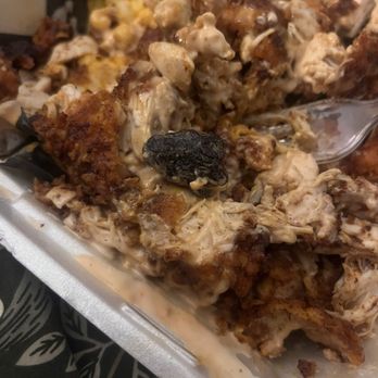 Crazy D’s Hot Chicken - Charred chicken that looks like animal feces - Chicken Shop Near Me - Reno, Nevada Crazy D’s Hot Chicken - Charred chicken that looks like animal feces - Chicken Shop Near Me - Reno, Nevada