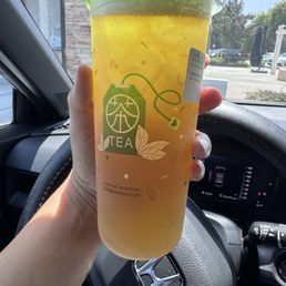 Green Tea Green Tea