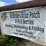 Photo of McBride Briar Patch