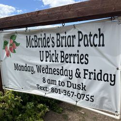 McBride Briar Patch - Info