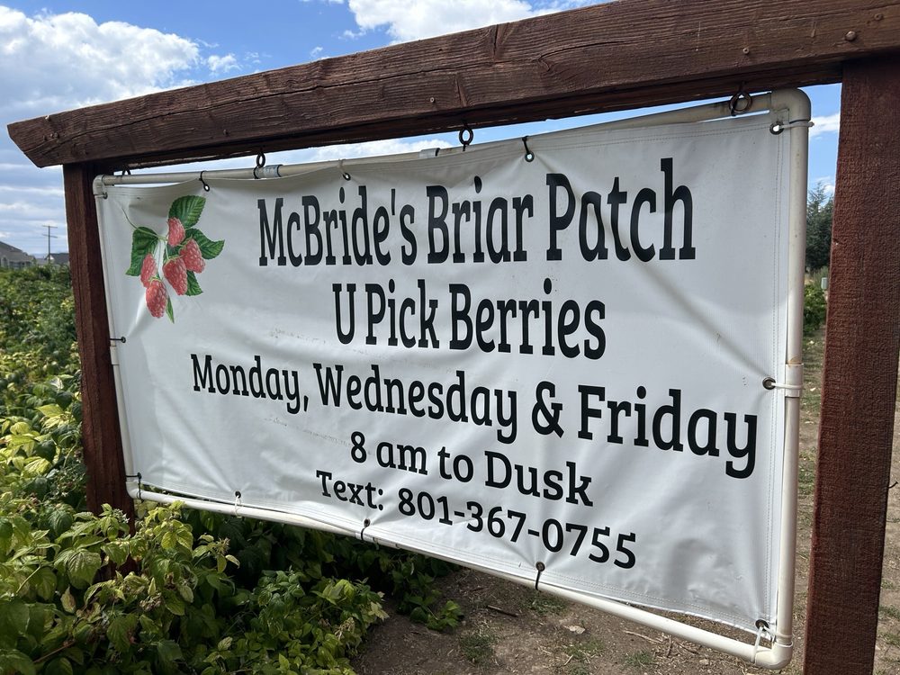 McBride Briar Patch Logo