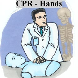 Lifesavers CPR - First Aid Training - Your class position