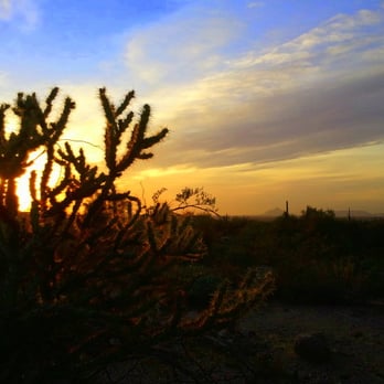 Granite Reef Recreation Site - Cholla "jumping cactus" - Hiking Near Me - Mesa, Arizona