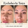 Lovely Lashes