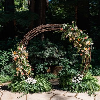 Bloomster's - Florists Near Me - San Jose, California Bloomster's - Florists Near Me - San Jose, California