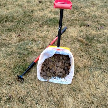 Scooby Squad - Pet Waste Removal Near Me - Brewer, Maine Scooby Squad - Pet Waste Removal Near Me - Brewer, Maine