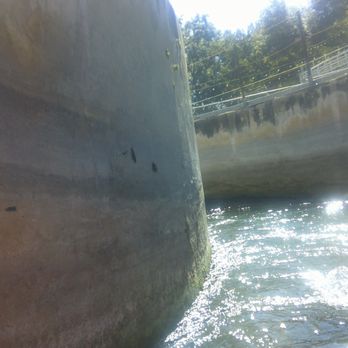 Tube-Chute - Going down the 1st chute on Comal River - Tubing Near Me - New Braunfels, Texas Tube-Chute - Going down the 1st chute on Comal River - Tubing Near Me - New Braunfels, Texas