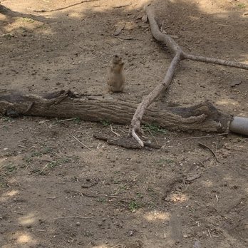 Maryland Zoo in Baltimore - Zoos Near Me - Baltimore, Maryland