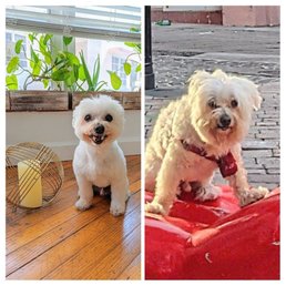 Before (right) and After Before (right) and After
