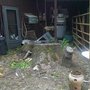 Photo of Brown's Stump Removal