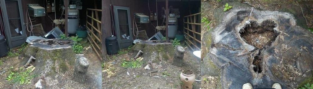 Brown's Stump Removal - tree service in Kernersville, NC