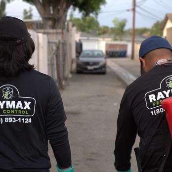 Raymax Pest Control - Pest Control Near Me - Pico Rivera, California Raymax Pest Control - Pest Control Near Me - Pico Rivera, California