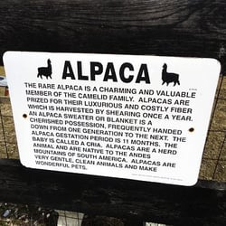 Pax River Alpacas
