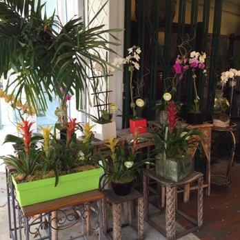 Garden Gate - Florists Near Me - South Miami, Florida