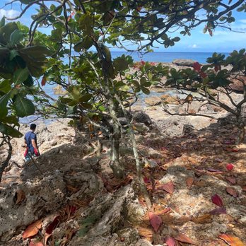 Shark's Cove - Beaches Near Me - Haleiwa, Hawaii Shark's Cove - Beaches Near Me - Haleiwa, Hawaii
