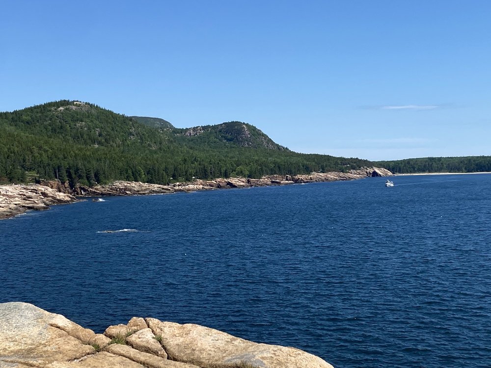 Acadia Mountain Guides Climbing School Logo