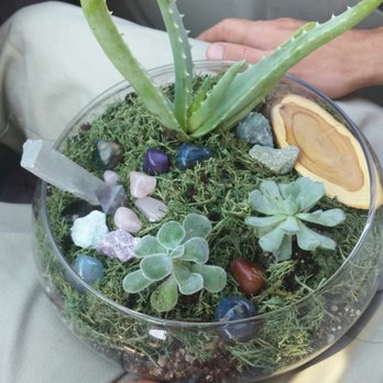 Parrish & Grove - The bowl we built at the terrarium bar! - Botanical Gardens Near Me - Spokane, Washington Parrish & Grove - The bowl we built at the terrarium bar! - Botanical Gardens Near Me - Spokane, Washington