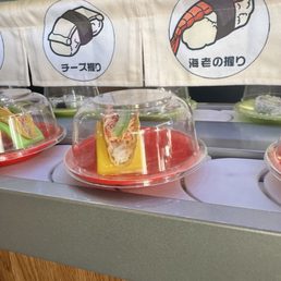 Conveyor Belt