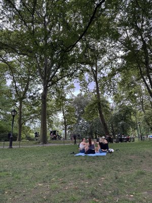 The Great Lawn by null