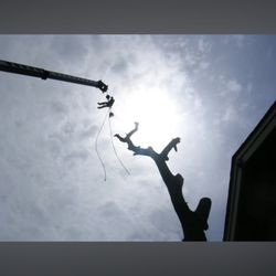 Shackleford Tree Service - Crane access