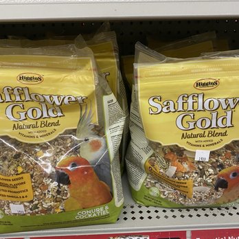The Bird & Reptile Connection - Bird food recommended to me by staff - Pet Stores Near Me - Walpole, Massachusetts The Bird & Reptile Connection - Bird food recommended to me by staff - Pet Stores Near Me - Walpole, Massachusetts